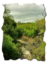 Click to Enlarge the Picture