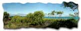 Click to Enlarge the Picture